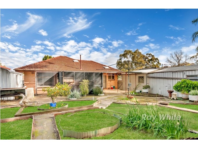 15 Locke Drive, Fairview Park SA 5126