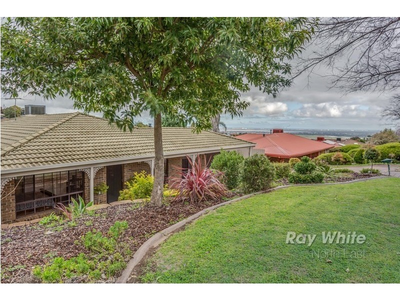 4 Grasslands Court, Wynn Vale SA 5127