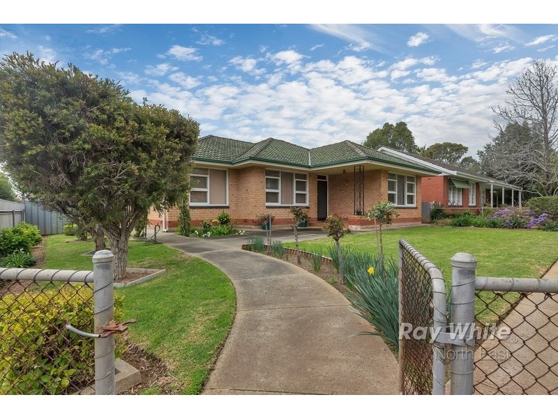 7 Frederick Street, Magill SA 5072