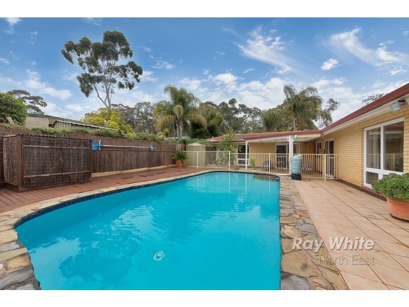 3 Hamilton Road, Fairview Park SA 5126