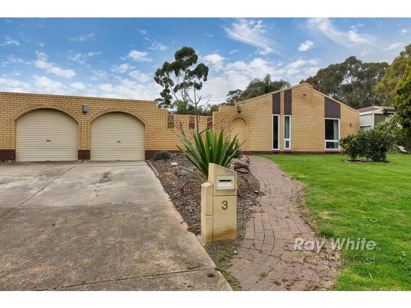 3 Hamilton Road, Fairview Park SA 5126