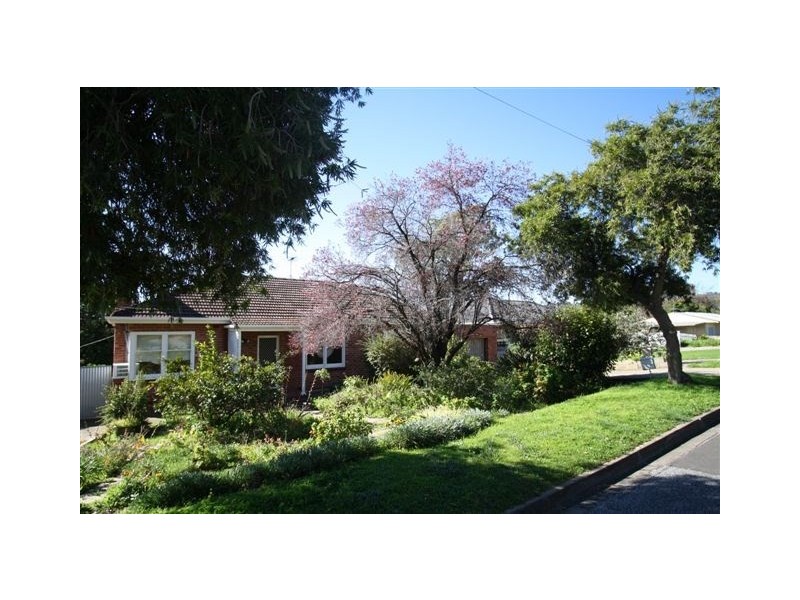 20 Barns Avenue, Highbury SA 5089