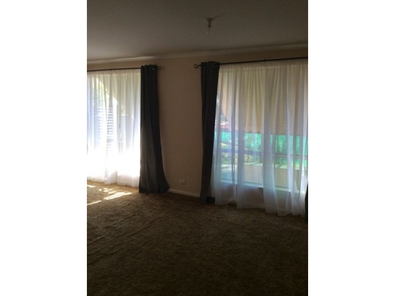 20 Barns Avenue, Highbury SA 5089