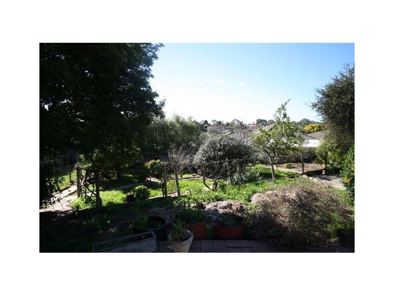 20 Barns Avenue, Highbury SA 5089