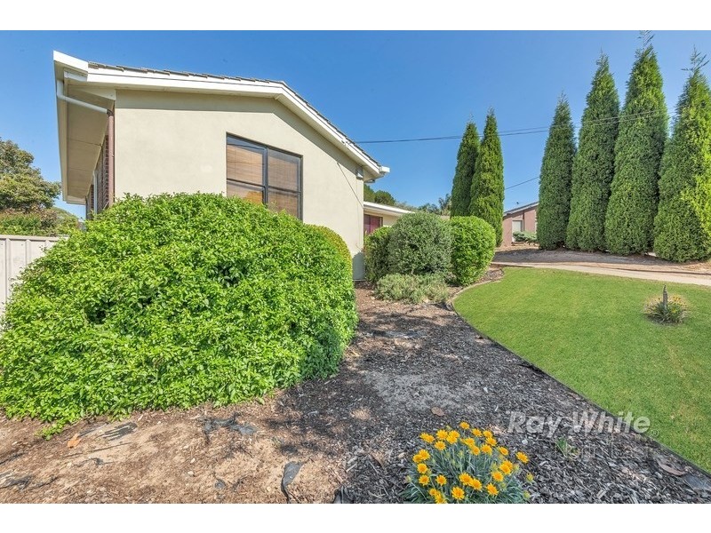 11 Munilla Avenue, Fairview Park SA 5126