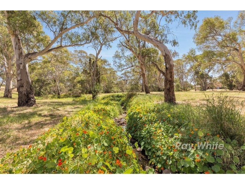 13 Sherwood Drive, Redwood Park SA 5097