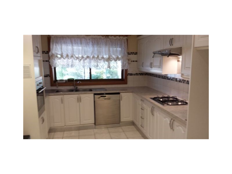 6 Grove Street, Modbury SA 5092