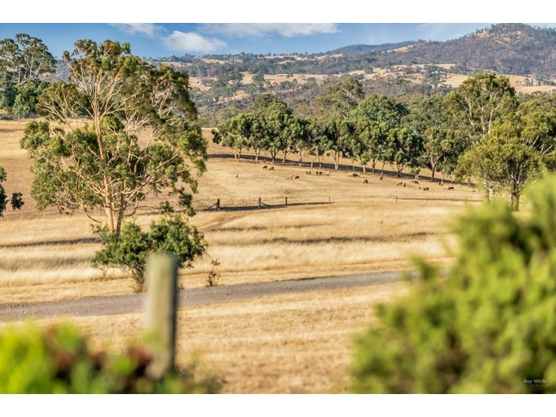 127 Chapman Road, Inglewood SA 5133