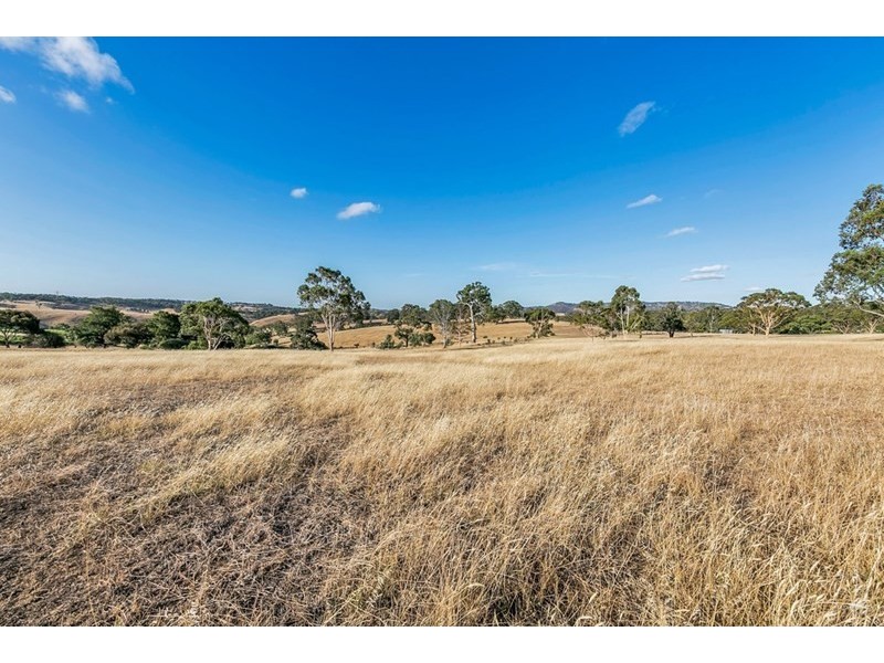 127 Chapman Road, Inglewood SA 5133