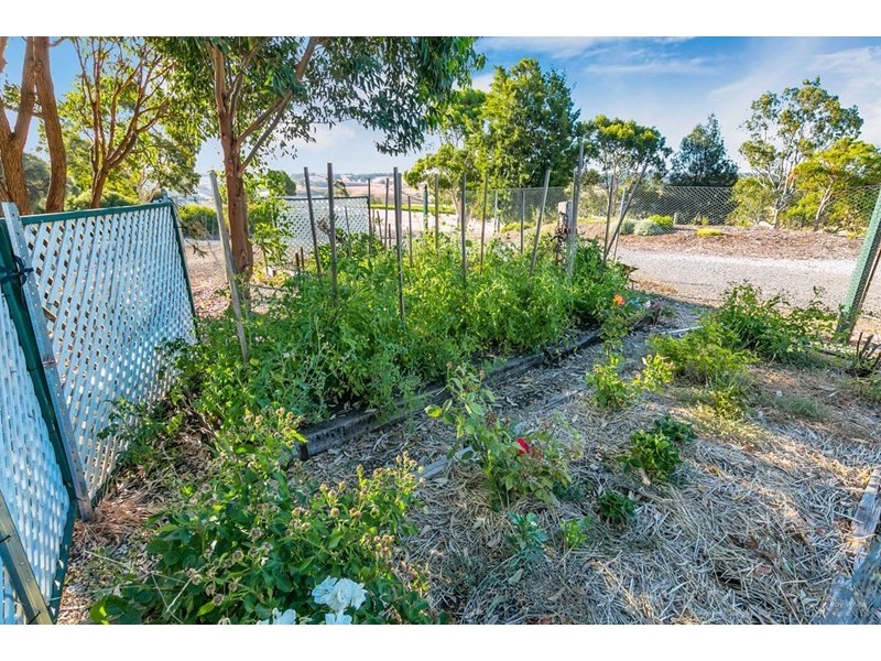 127 Chapman Road, Inglewood SA 5133