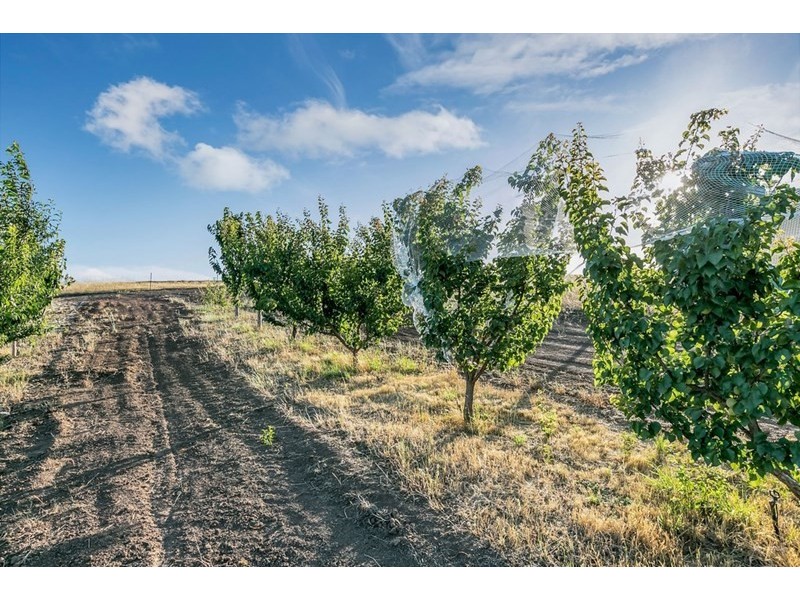 127 Chapman Road, Inglewood SA 5133