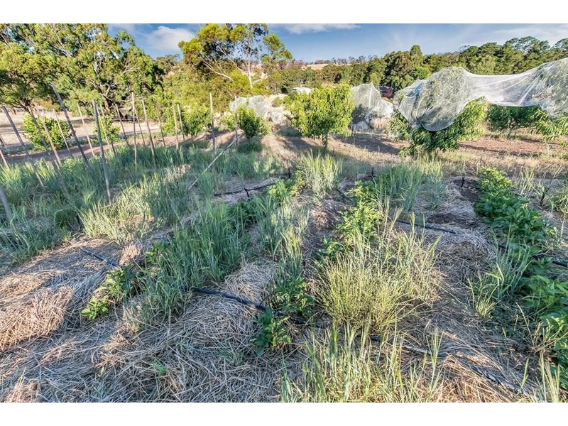 127 Chapman Road, Inglewood SA 5133