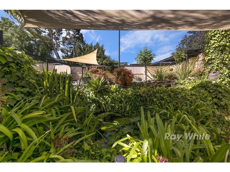 20 Down Drive, Valley View SA 5093