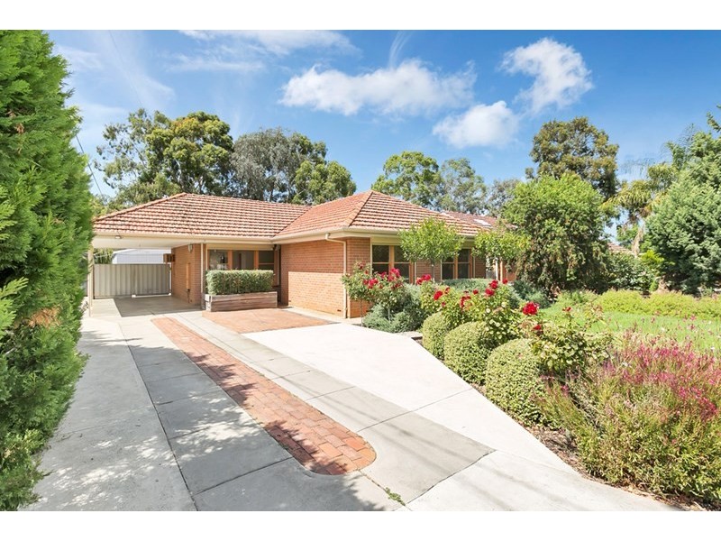 53 Salisbury Avenue, Valley View SA 5093