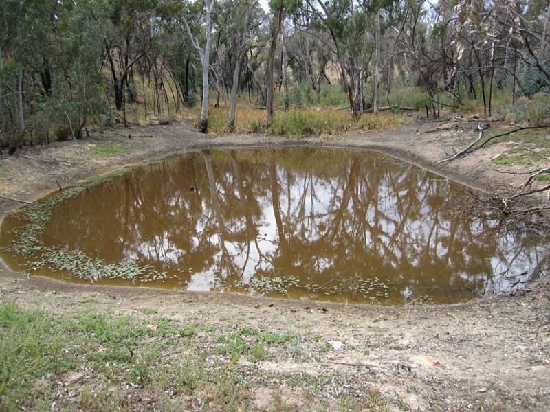 119 Burns Road, Inglewood SA 5133