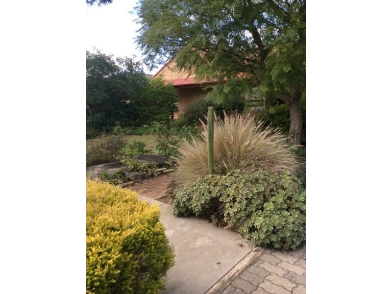 26 Learmonth Terrace, Enfield SA 5085