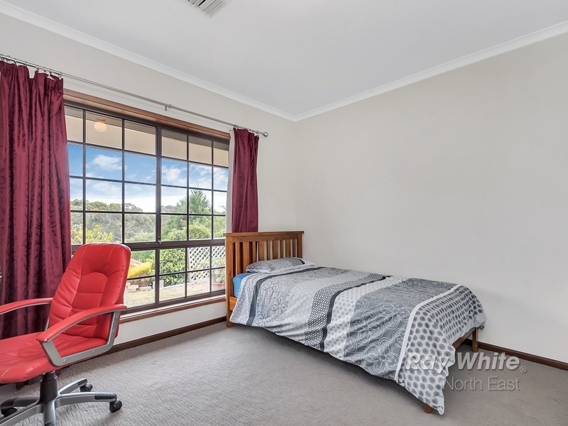 19 Lubbock Court, Wynn Vale SA 5127