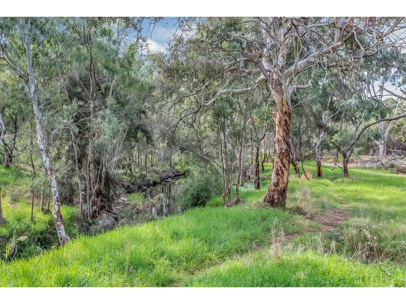 71a Rutherglen Avenue, Valley View SA 5093