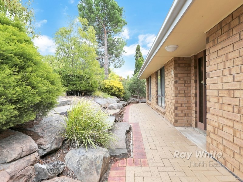 18 Solway Court, Surrey Downs SA 5126