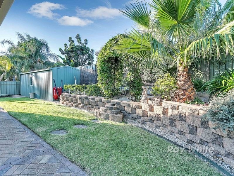 10 Brassington Avenue, Redwood Park SA 5097