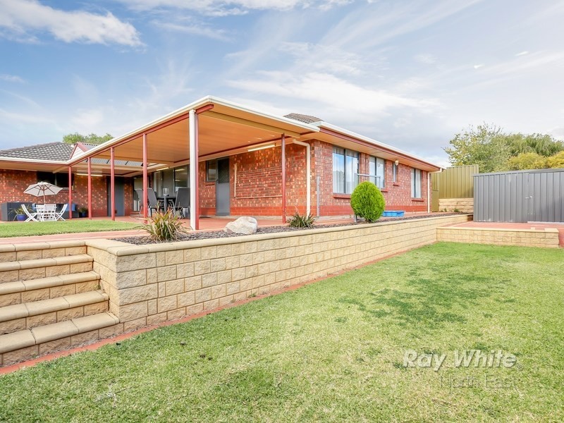 6 Martin Street, Wynn Vale SA 5127