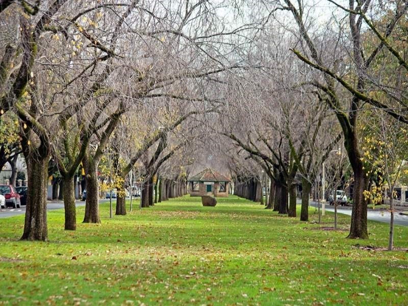 Unit 6/80-82 Alexandra Avenue, Rose Park SA 5067