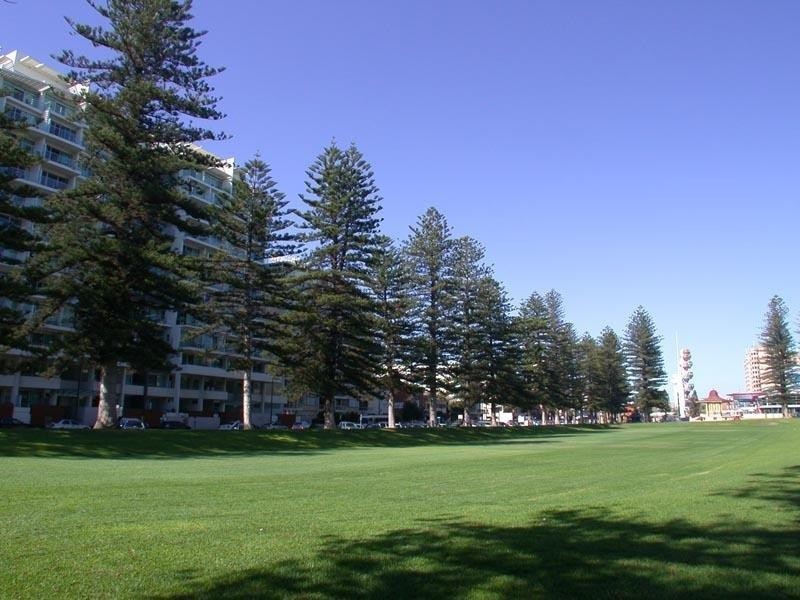 105/25 “Liberty Towers” Colley Terrace, Glenelg SA 5045