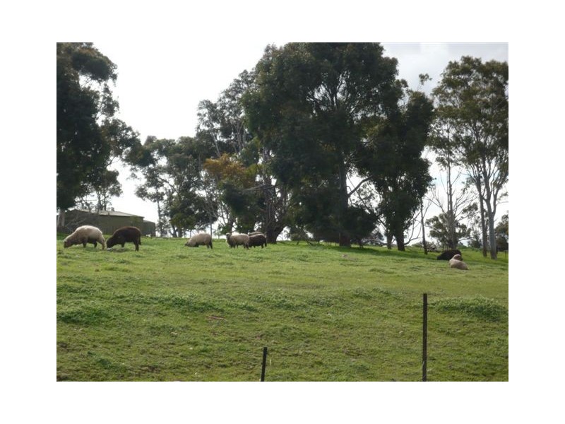 Lot 8 Wellington Court, Salisbury Heights SA 5109