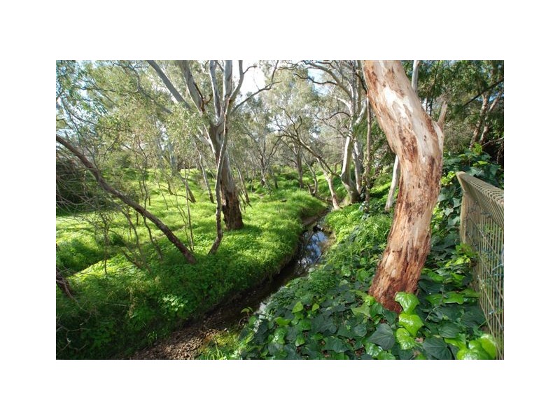 466 Milne Road, Redwood Park SA 5097