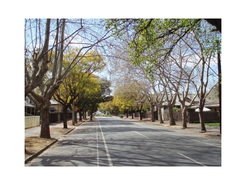 2/180 Fisher Street, Malvern SA 5061