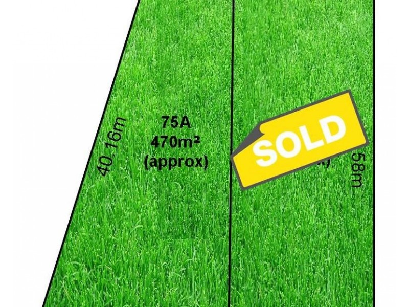 75A Hamilton Road, Fairview Park SA 5126