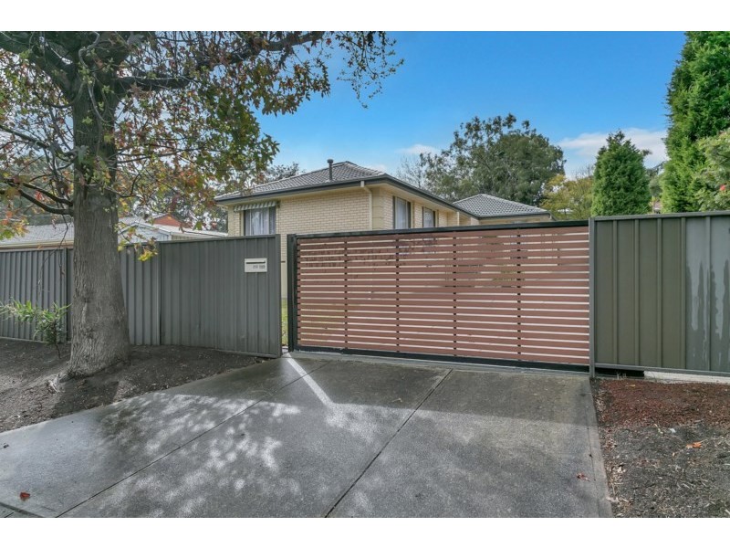 255 Hancock Road, Banksia Park SA 5091