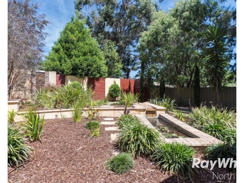 14 Mistletoe Terrace, Tea Tree Gully SA 5091
