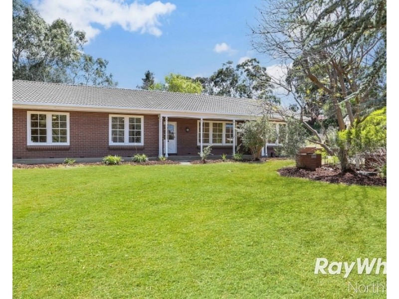 16 Buckley Crescent, Fairview Park SA 5126