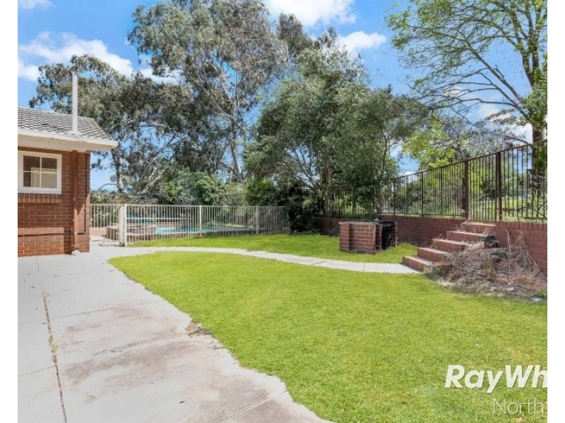 16 Buckley Crescent, Fairview Park SA 5126