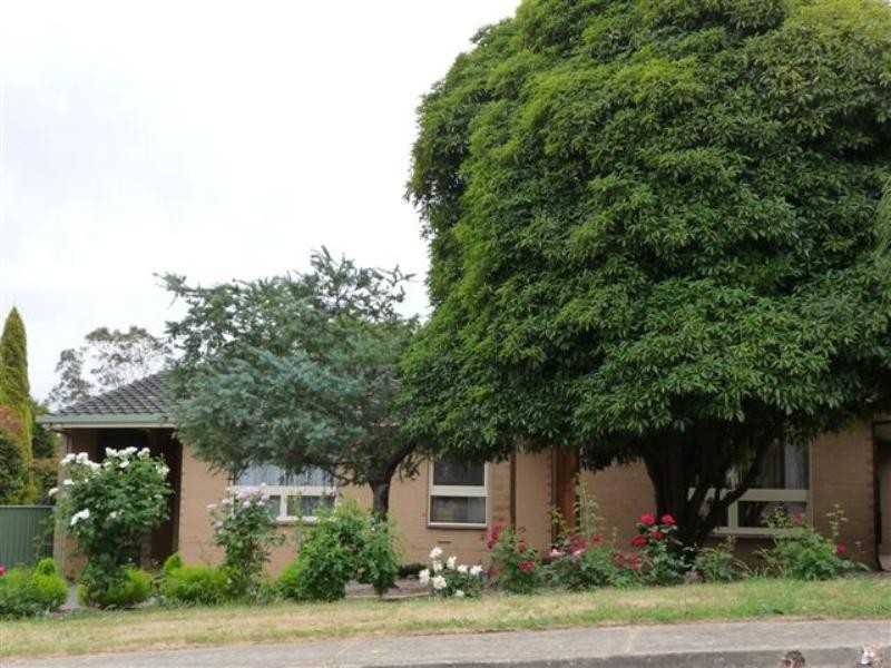 17 Lumsden Avenue, Ridgehaven SA 5097