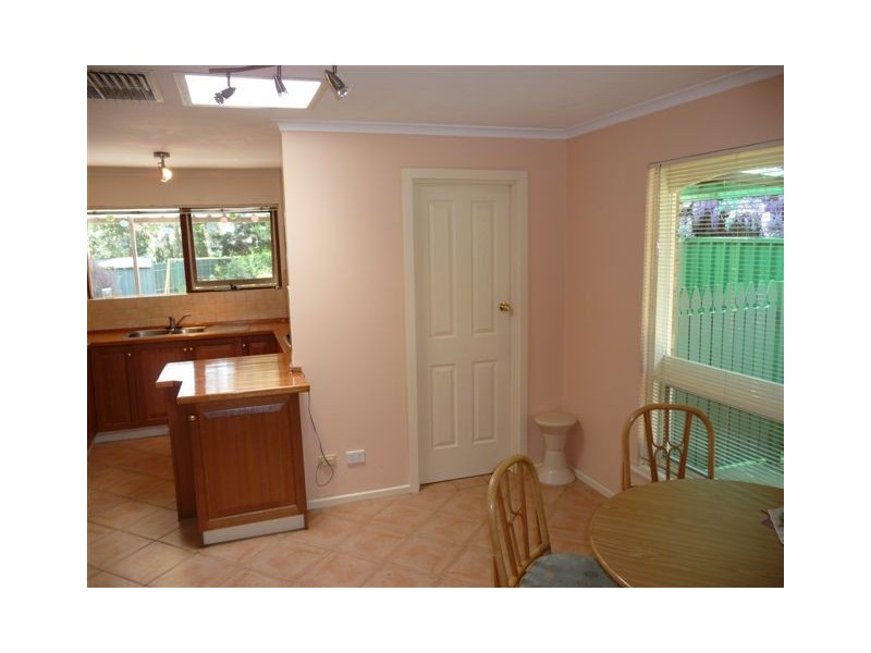 17 Lumsden Avenue, Ridgehaven SA 5097