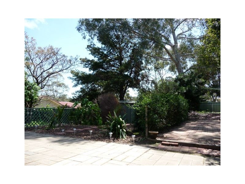17 Lumsden Avenue, Ridgehaven SA 5097