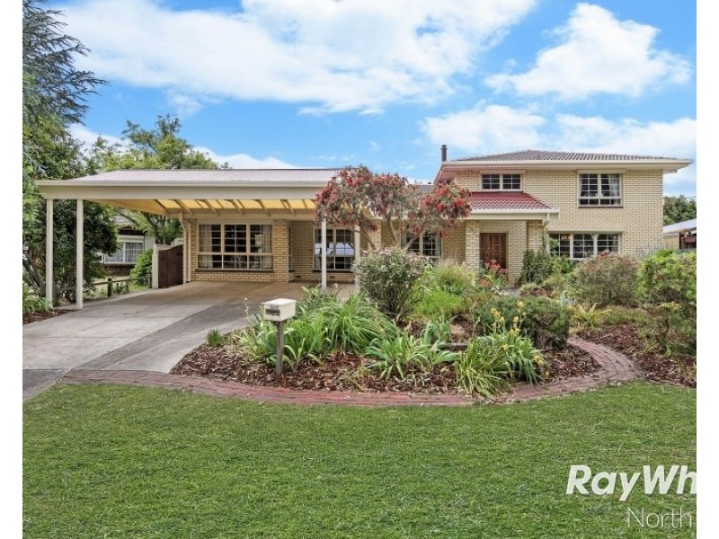 53 Hamilton Road, Fairview Park SA 5126