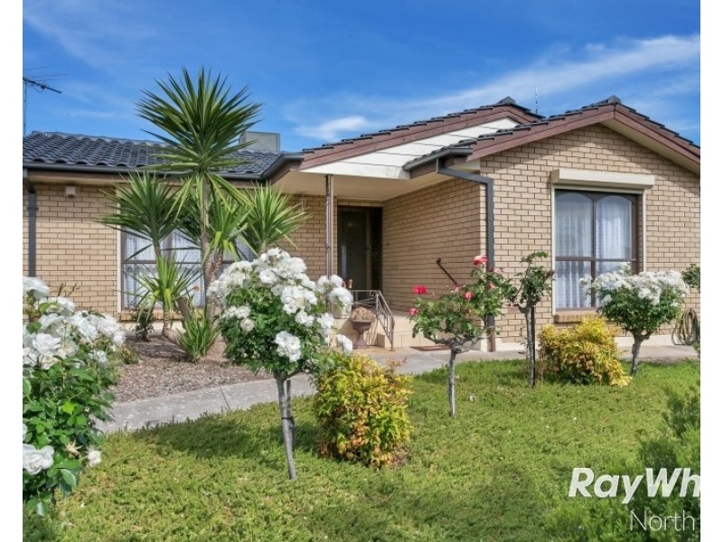 17 Erong Avenue, Gilles Plains SA 5086