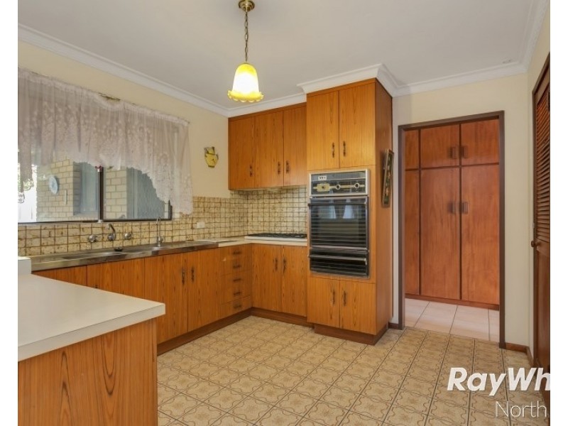 17 Erong Avenue, Gilles Plains SA 5086