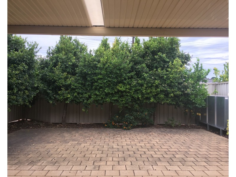 8 Beenleigh Avenue, Klemzig SA 5087