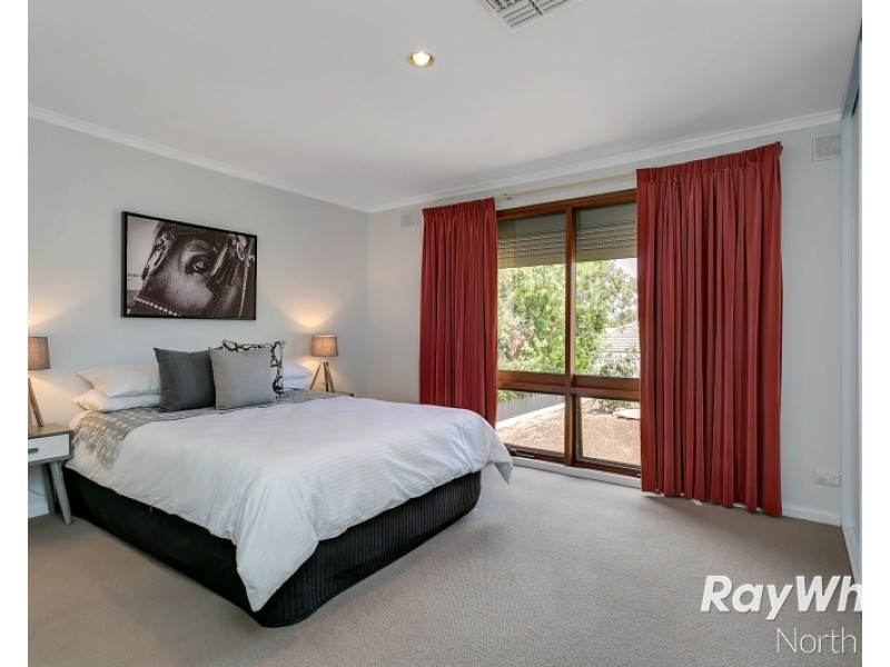 36 Castle Street, Modbury SA 5092