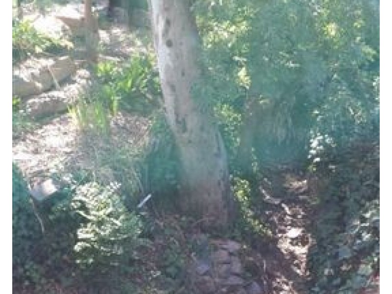 465 Yatala Vale Road, Fairview Park SA 5126