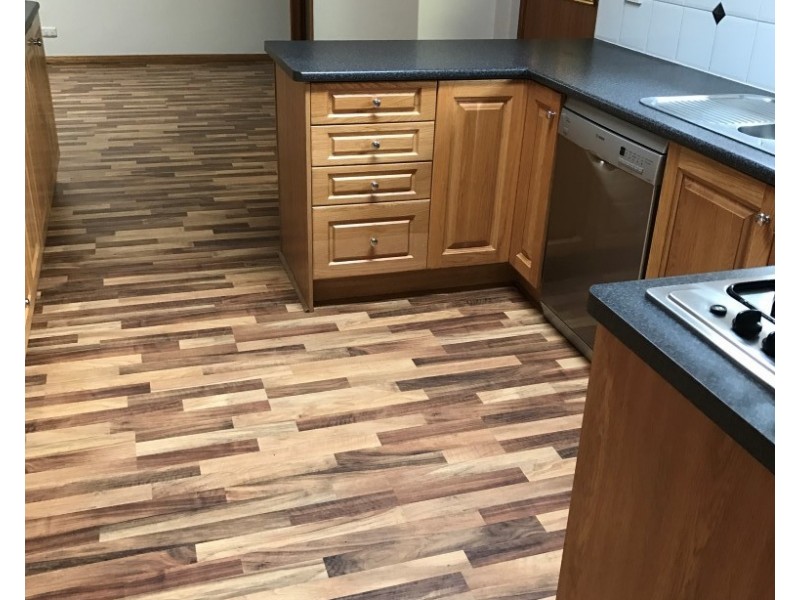 17 Plover Avenue, Modbury Heights SA 5092