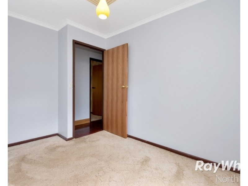 12 Quintal Avenue, Modbury SA 5092