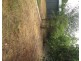 12 Duncan Crescent, Highbury SA 5089