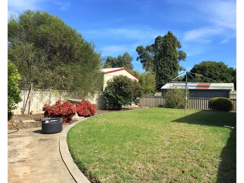 12 Greenway Drive, Surrey Downs SA 5126