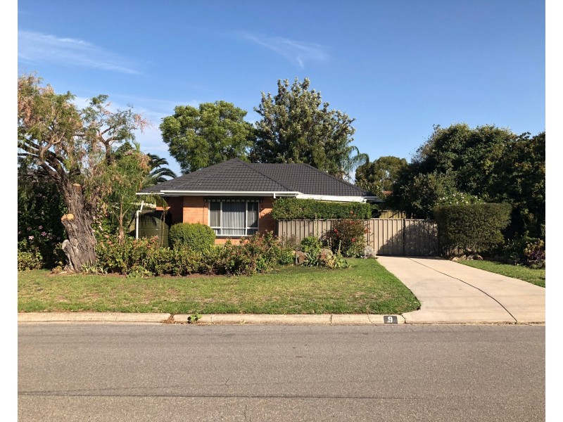 9 Brigalow Avenue, Modbury SA 5092