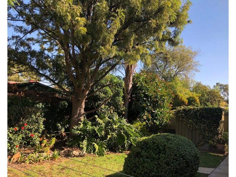 9 Brigalow Avenue, Modbury SA 5092